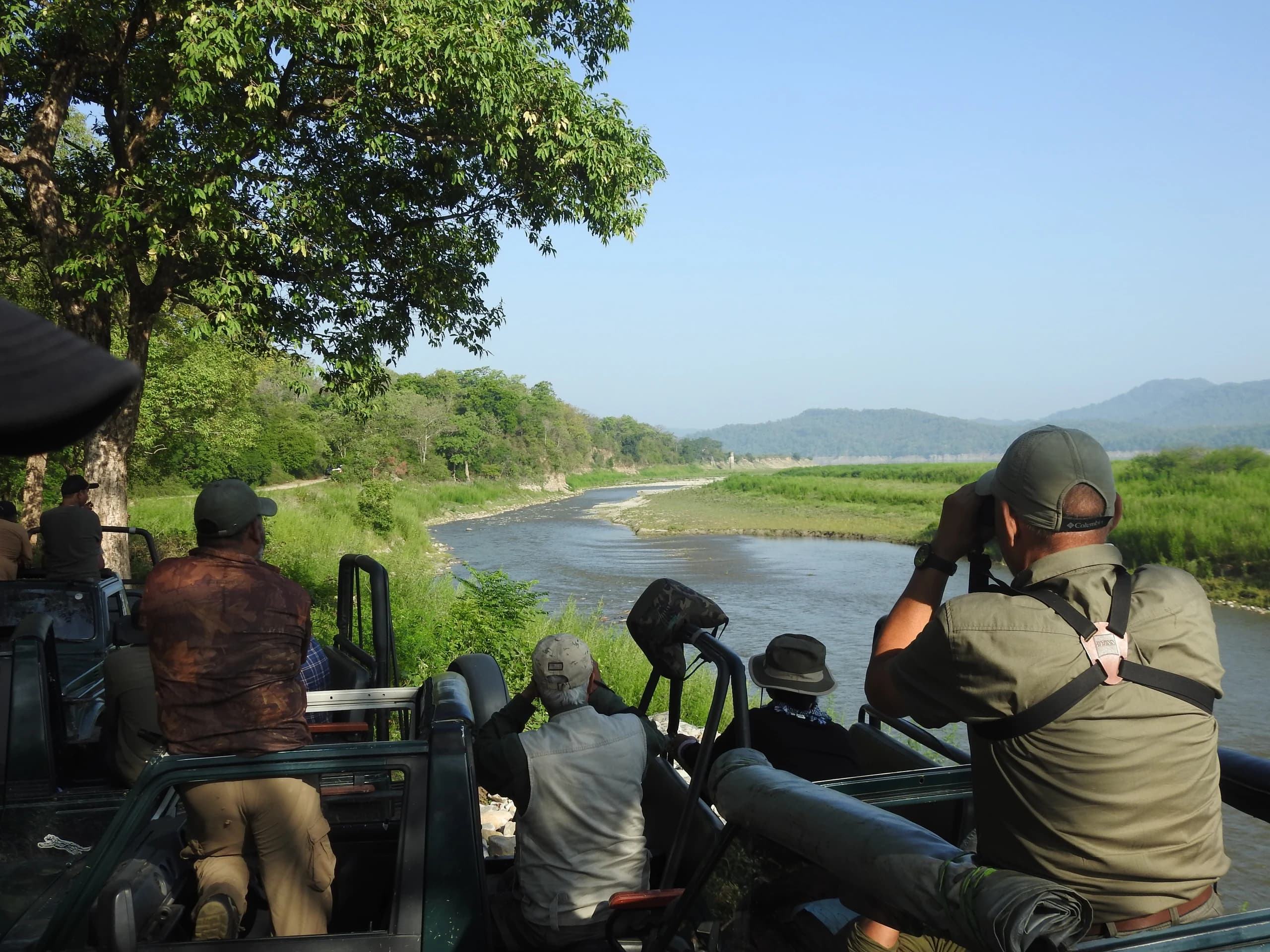 Wildlife Photography Safari