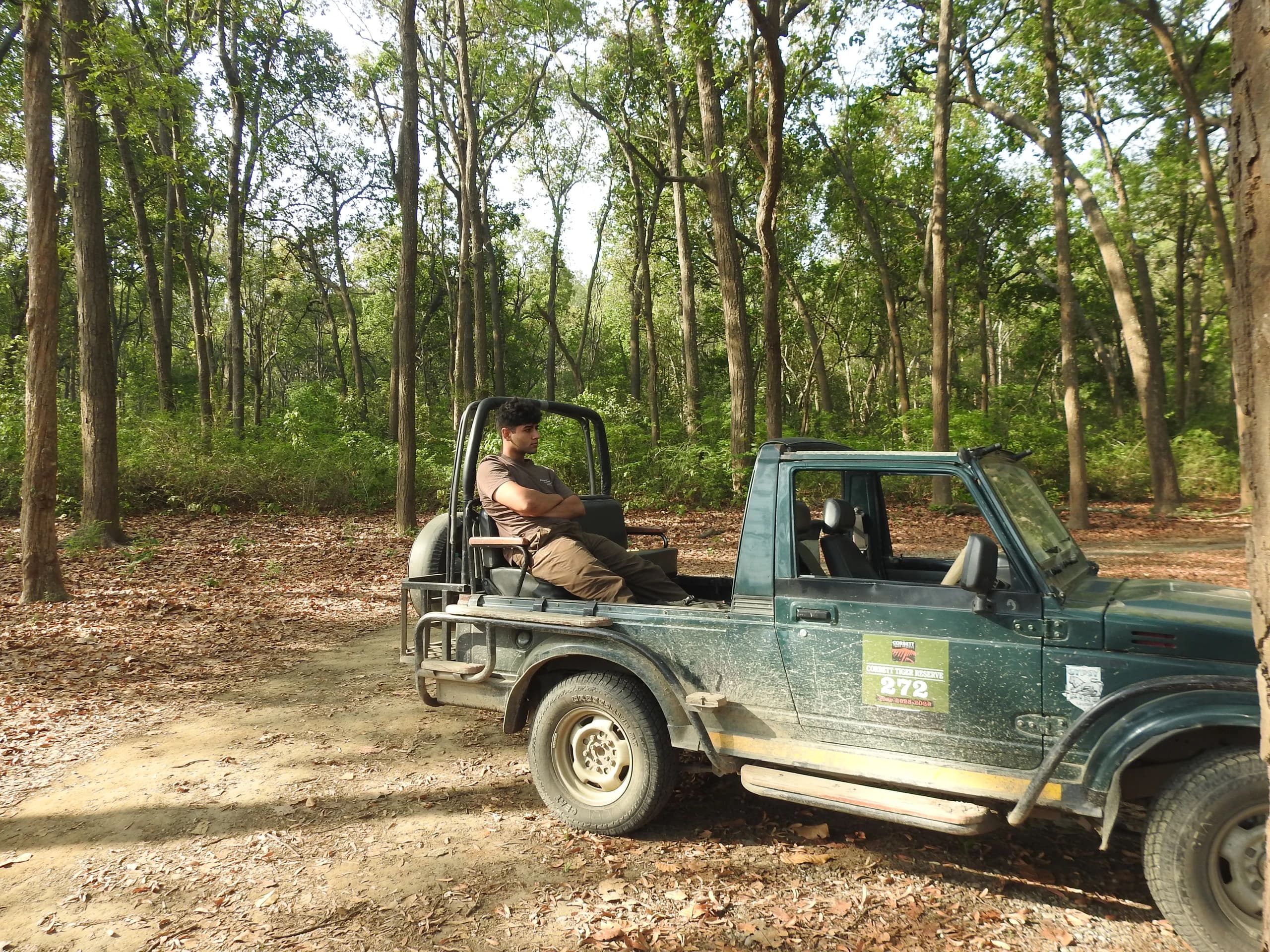 Jungle Safari at Jim Corbett — Manu Maharani Resort