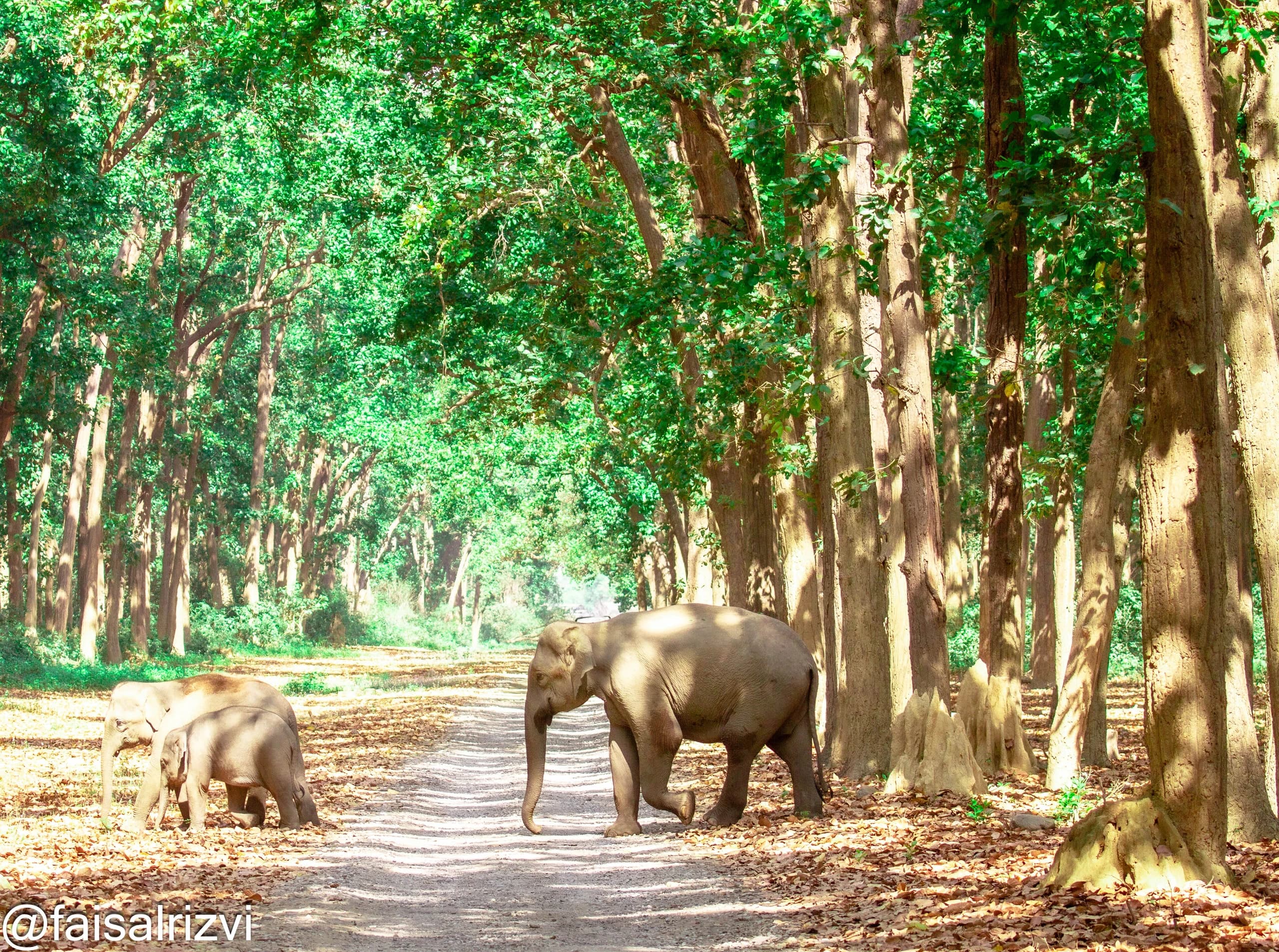 Corbett landscape