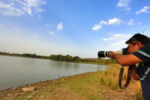 Wildlife photography at jim corbett
